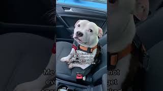 Especially Strangers