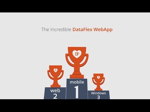 DataFlex - Build business software faster, at lower cost
