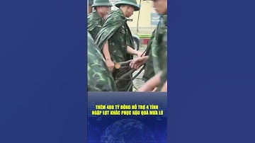 🔔Thêm 400 tỷ đồng hỗ trợ 4 tỉnh bị ngập lụt khắc phục hậu quả mưa lũ sau bão số 11