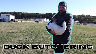 Learning how to butcher DUCKS
