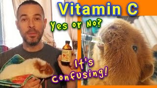 Vitamin C For Guinea Pigs - It