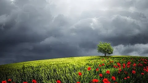 The Morning Prayer with Dan Duval