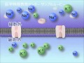 目で見る医学の基礎 第2版　Vol.2 神経系