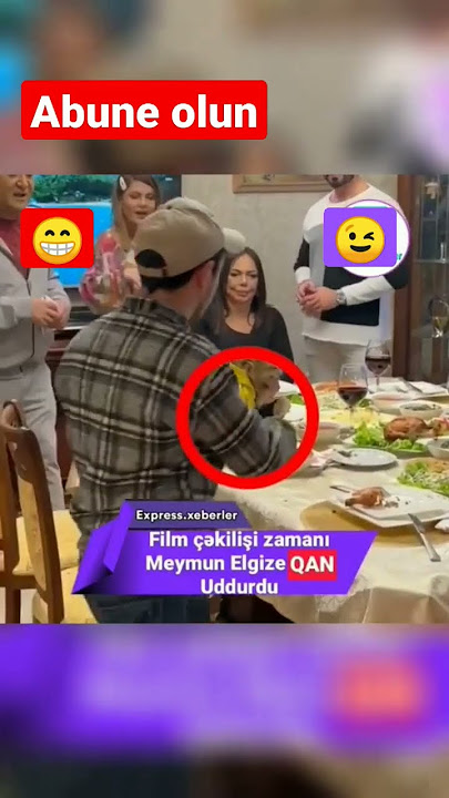 Meymun Elgizi qorxutdu#shorts#status#komedi#komik#azerbaijan#trend#tiktok#prikol#maraqli#tv#keşfet
