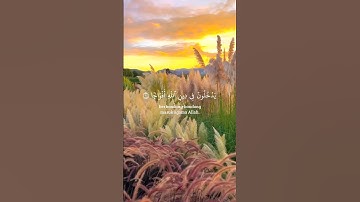 إذا جاء نصر الله والفتح.. فابشر بتمام الوعد ونهاية الصبر" #اكسبلور #قرآن #الفتح #سورة_النصر