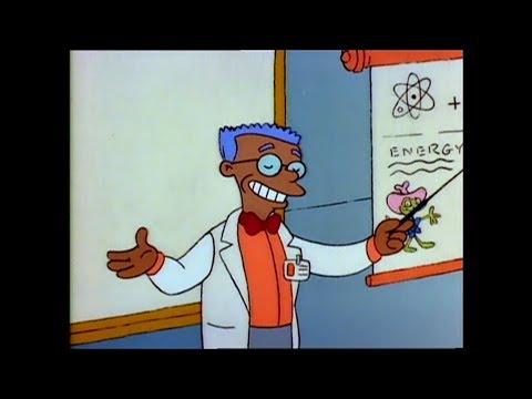 Video: Waren die Smithers schwarz bei den Simpsons?