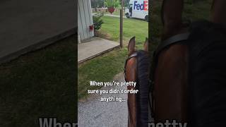 I’m pretty sure I didn’t order anything. #horsegirl #horseriding #fedex #horsefun #funnyhorse