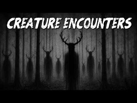(3) Creepy Creature Encounter Stories From Subscribers (# 18)