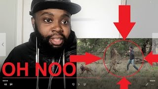 Man Punches A Kangaroo In The Face To Rescue His Dog Reaction Videothat Didnt Hurt