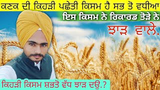 ਪਛੇਤੀ ਕਣਕ ਬੀਜਣ ਵਾਲੇ ਦੇਖੋ ਹੁਣ • wheat late variety || agri advice