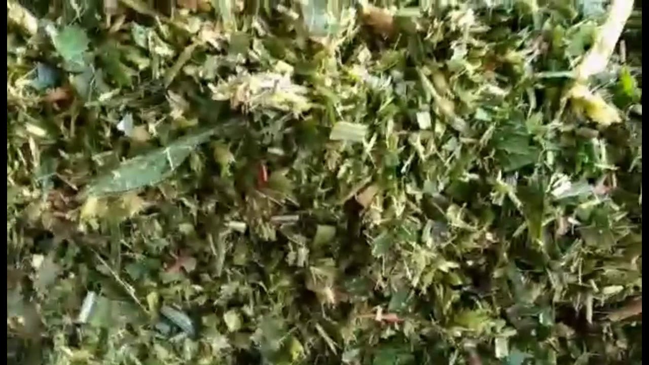 grass drying machine