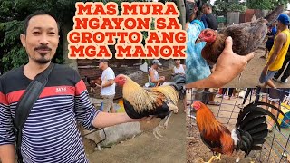 UPDATE NG BENTAHAN NA MANOK SA SAN JOSE DELMONTE