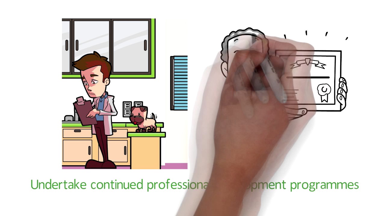 DNA Vetcare - A little bit about us