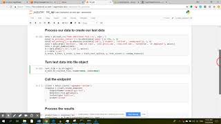 Calling SageMaker Endpoint With Python Using Invoke_Endpoint