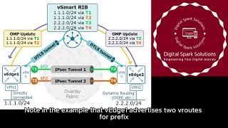 OMP overview | understanding OMP Routes in Cisco SD-WAN | vEdge, TLOCs, & vRoutes Explained | Part 4 screenshot 4