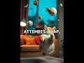 Gravity Breakroom: Floating Cat’s 8-Second Nap. #Shorts