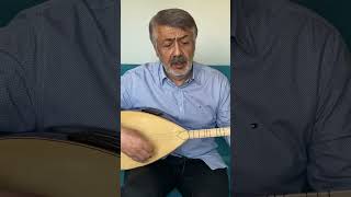 Türküleri Seviyorum- Namık Kemal Bilgin