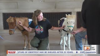 U of I De-Stress Fest lets students relax during finals