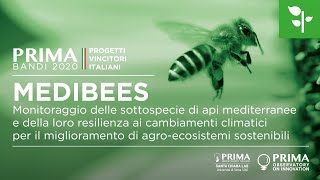 Medibees - Bandi Prima 2020