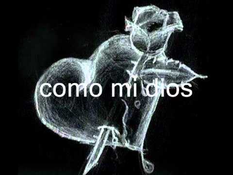 camera iphone 8 plus apk Estrella Blanca Grupo Los Monarcas