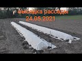 Посадка арбузов и дыни в северных районах Украины на 2021