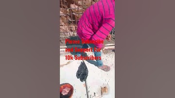 What Is Shear Key OR Why We Provide Shaer Key On Retaining Wall Starter And Retaining Wall