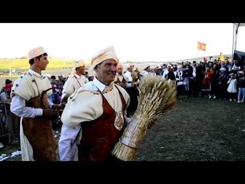 مهرجان الدولي ماطا للفروسية