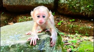 Oops mom Amanda leave baby Alfie on the rock