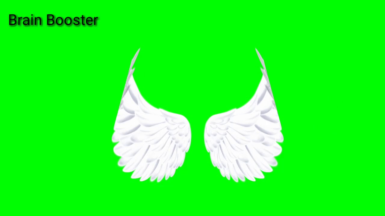 White wings flaping green screen video effects