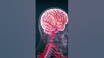 Super computer & human brain simulation @TheFactDocumentary