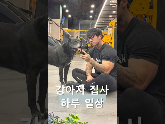 대형견 집사 #브이로그#대형견#vlog