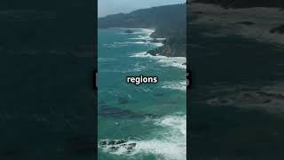 Tsunami Warning Lifted After Humboldt County Earthquake Shakes Bay Area