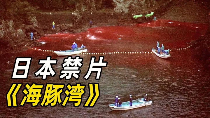 一部曾被禁的紀錄片《海豚灣》，震撼人類的殺戮，仍在進行中 - 天天要聞