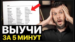 Лучшие СПОСОБЫ Для Быстрого Запоминания Иностранных Слов! ЭТО видео выведет тебя НА НОВЫЙ УРОВЕНЬ!