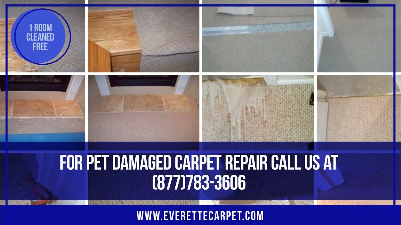 Carpet Cleaning & Carpet Repair In Germantown, MD YouTube