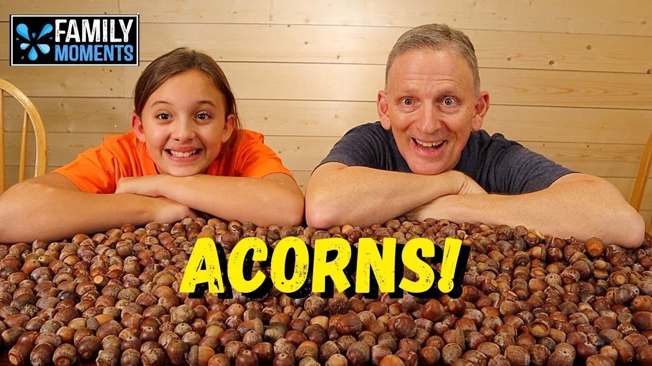 THANKSGIVING OBJECT LESSON