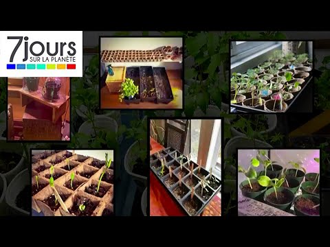 Vidéo: Cultivez Votre Jardin