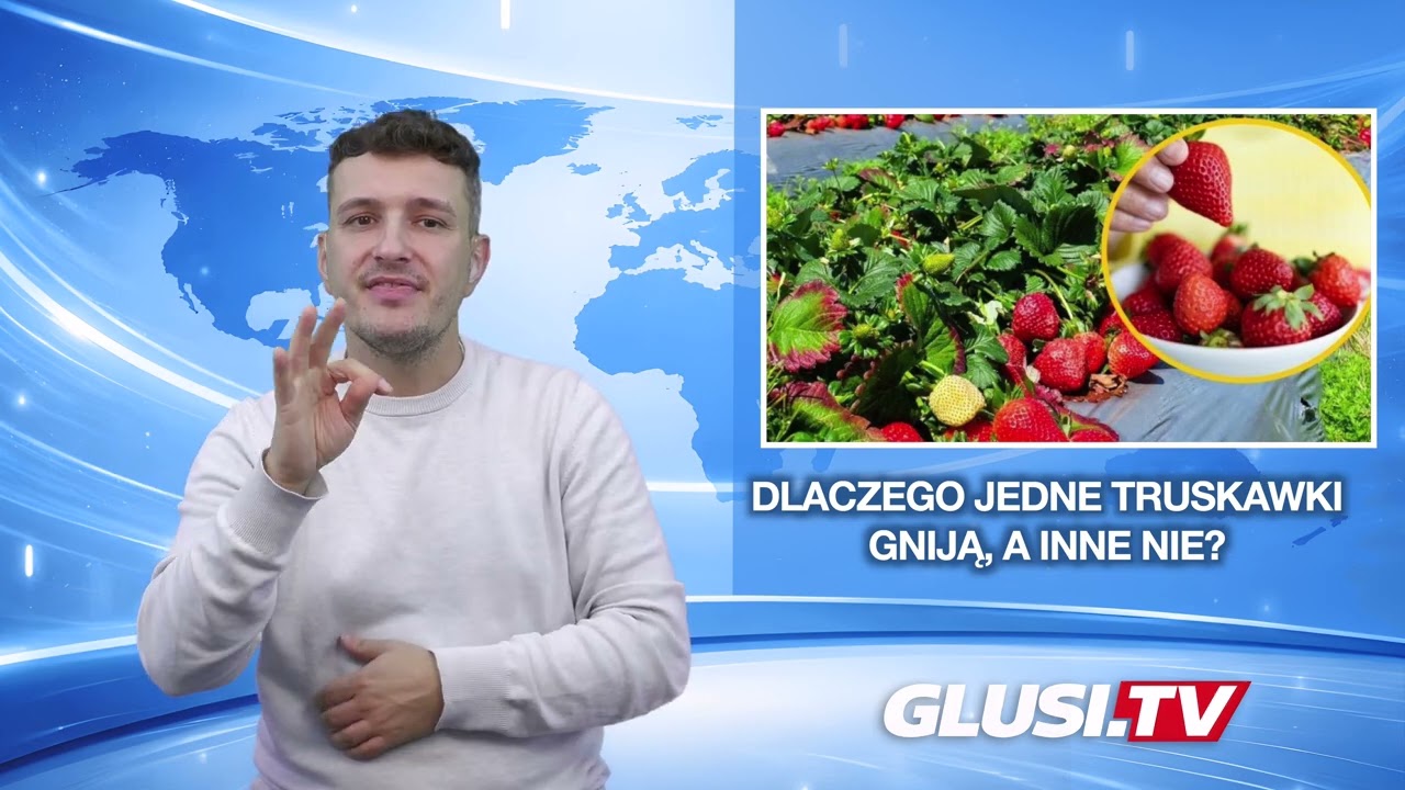 Dlaczego jedne truskawki gniją, a inne nie?