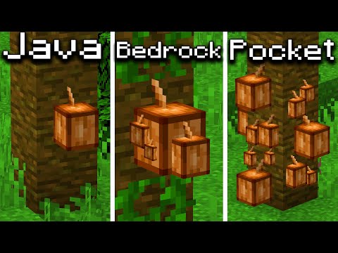 Java vs Bedrock vs Pocket