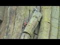 climbing the Devils Tower Wyoming