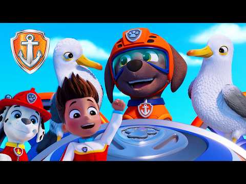 Not Cool! Silly Seagulls Steal the Prize! 🏆 | Zuma Official | PAW Patrol | Compilation