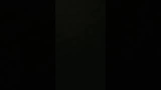One Night Elvis Guitar Intro