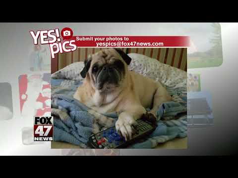 Yes! Pics: 5/21/18
