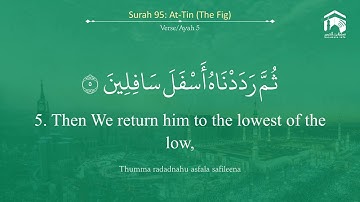 Quran 95   Surah At Tin سورة التين   Sheikh Bandar Baleelah