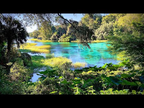 Rainbow Springs is a Stunning Hidden Gem in Florida and You Shouldn't Miss it!