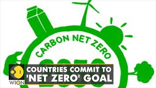 Countries around the world commit to 'net zero' emissions | Climate Crisis | English News Wealth