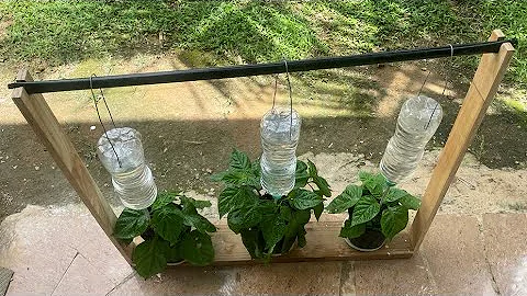 Simple Drip Irrigation System Anyone can make for Free. How to make Drip Watering from a Bottle
