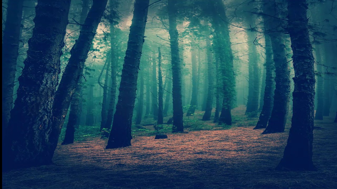 Pinkster Koortjies Gospel - Die liefde moet jy het -Kom dien