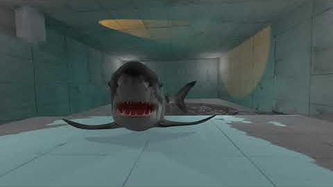 VR180 Great White Shark Attack. Made in Blender