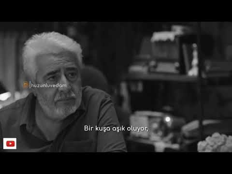 Sen kaybedenlerin en güzelisin be.